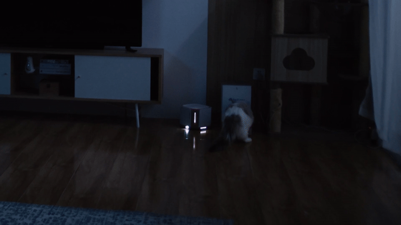 85.gif