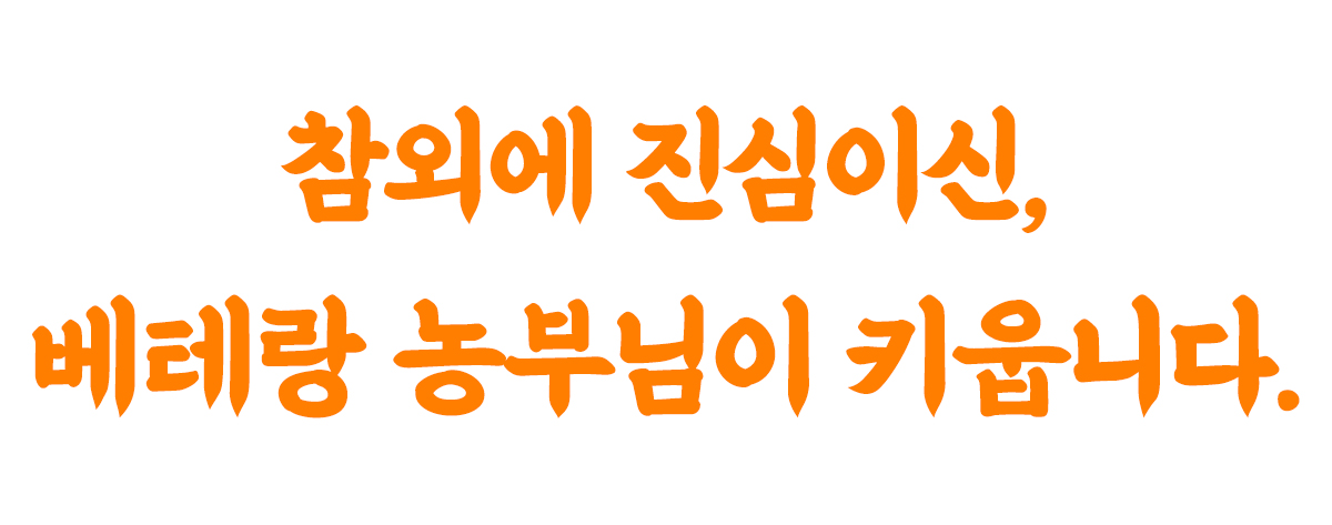 대제목11-1.jpg