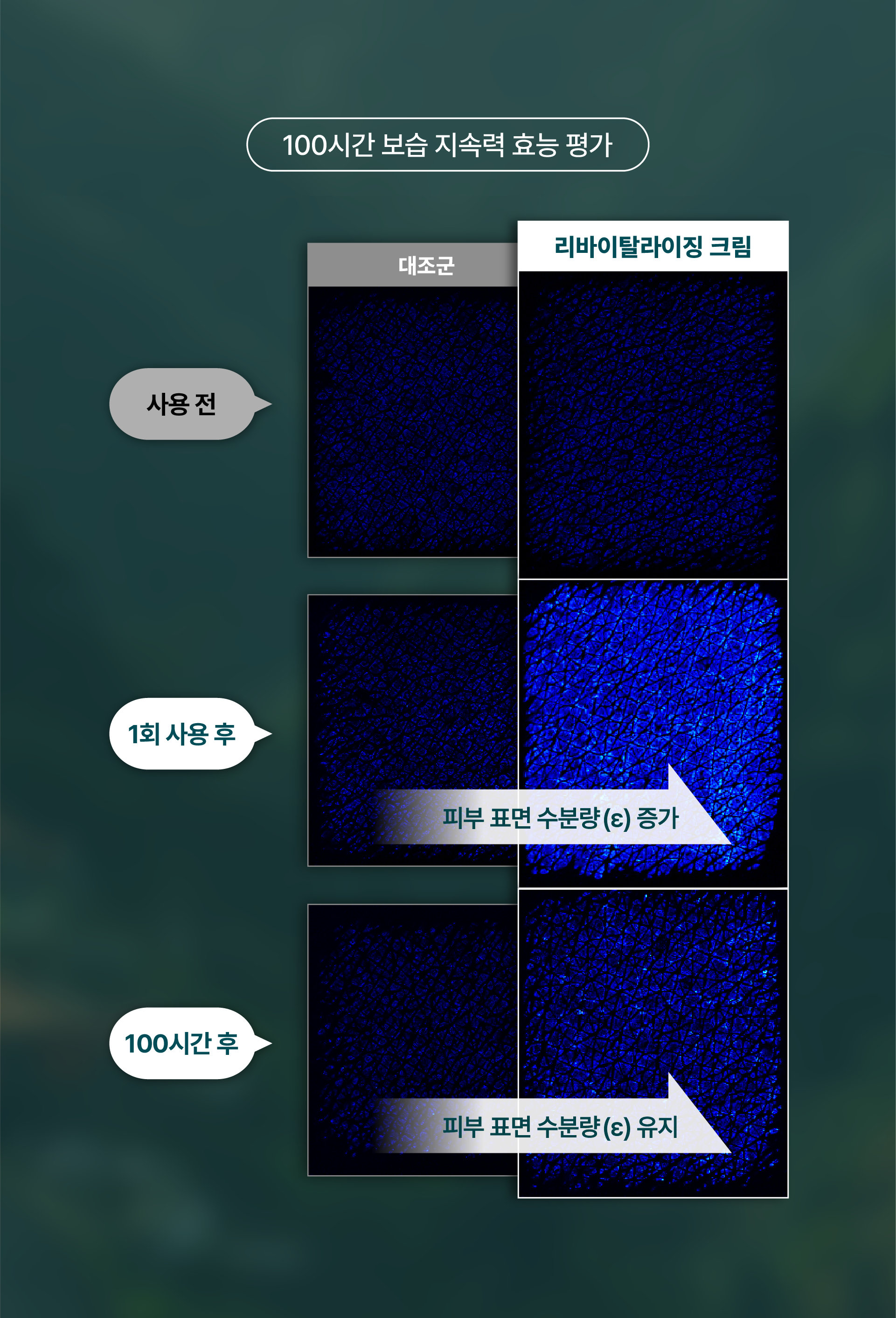 KakaoTalk_Image_2024-02-26-01-59-38_002 복사본 6.png