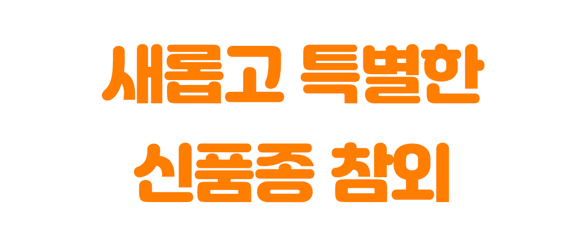 대제목4-1.jpg