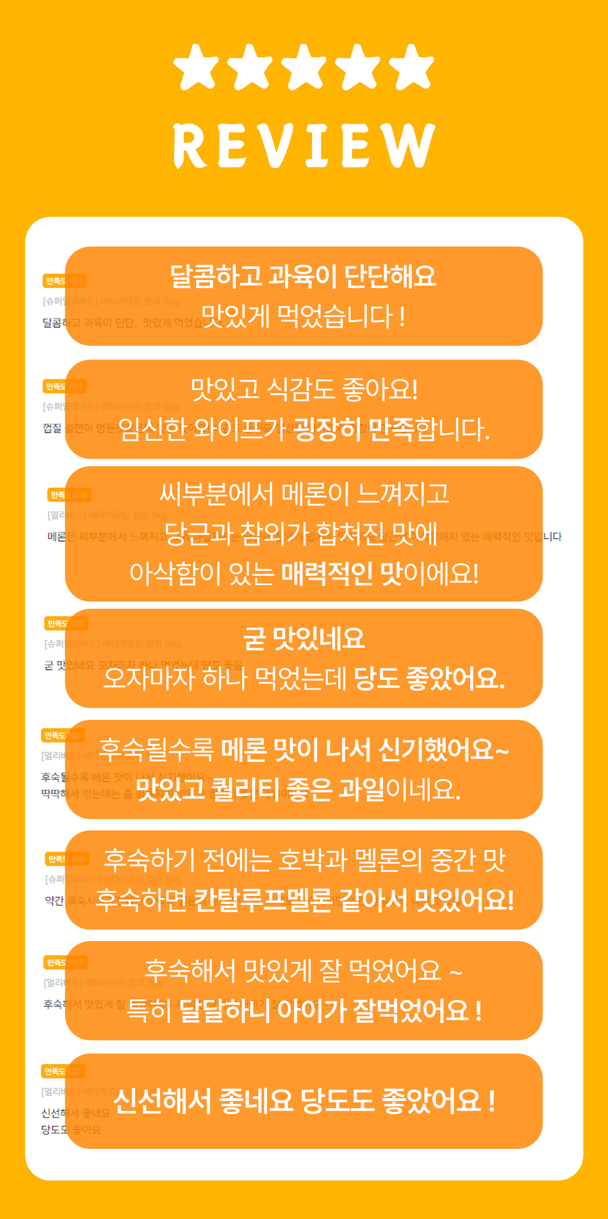 인트로.jpg