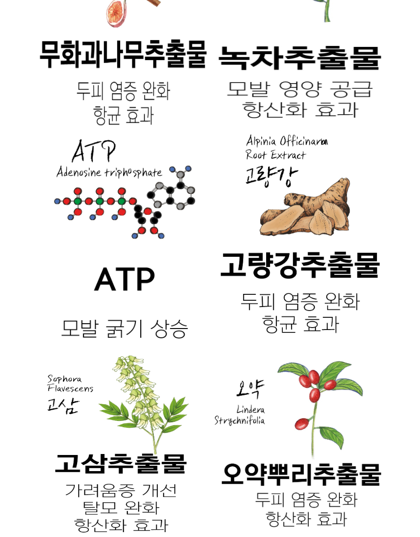 상세페이지-2 24.png