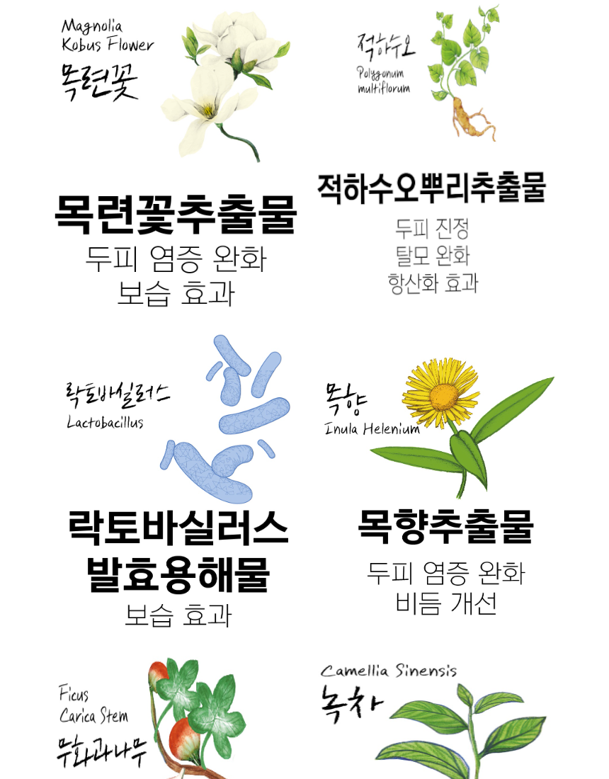 상세페이지-2 23.png