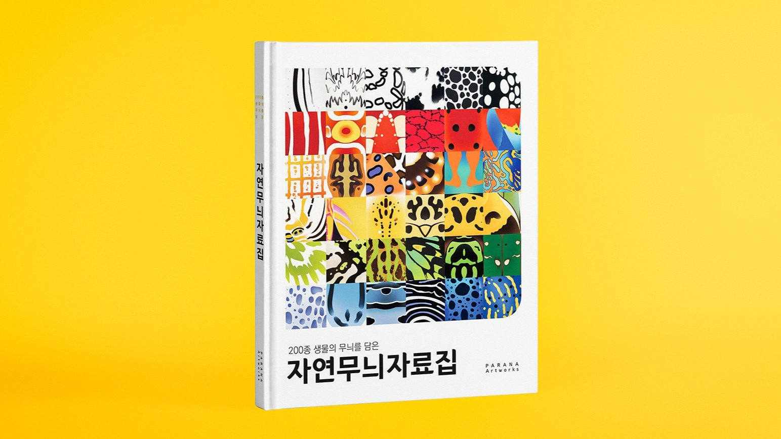 Creative Collection of Richly Colored Natural Patterns