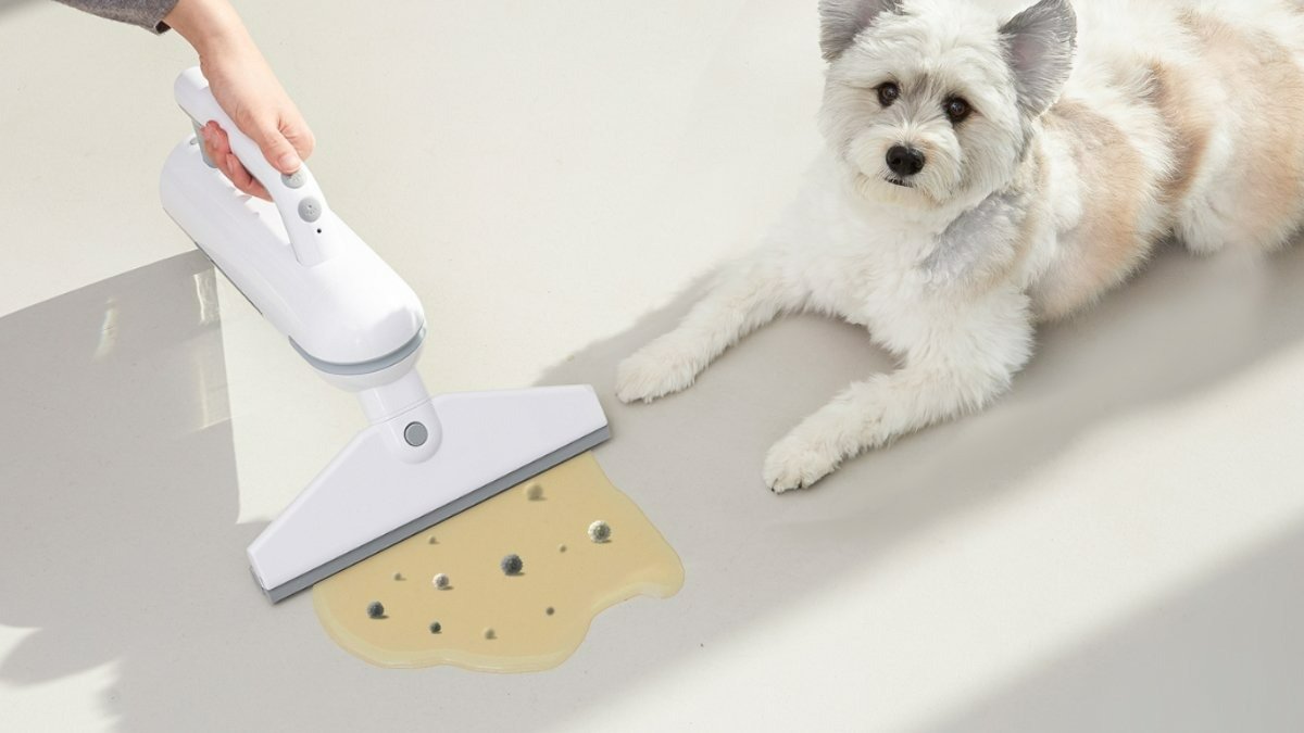 狗狗尿渍，3秒快速清除｜3秒一键尿渍速净清洁器