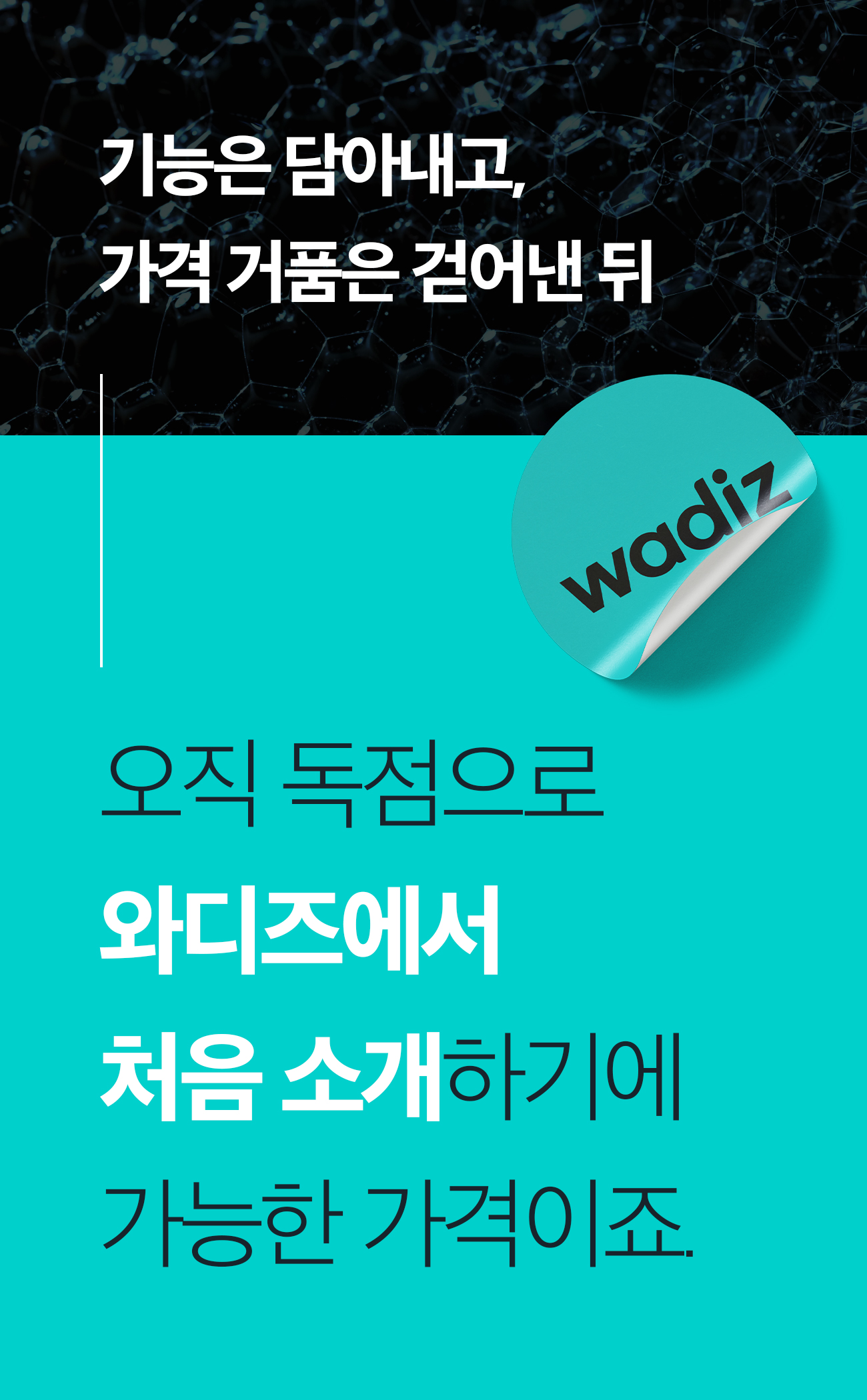 디케이스토어_몬도_21-2.jpg