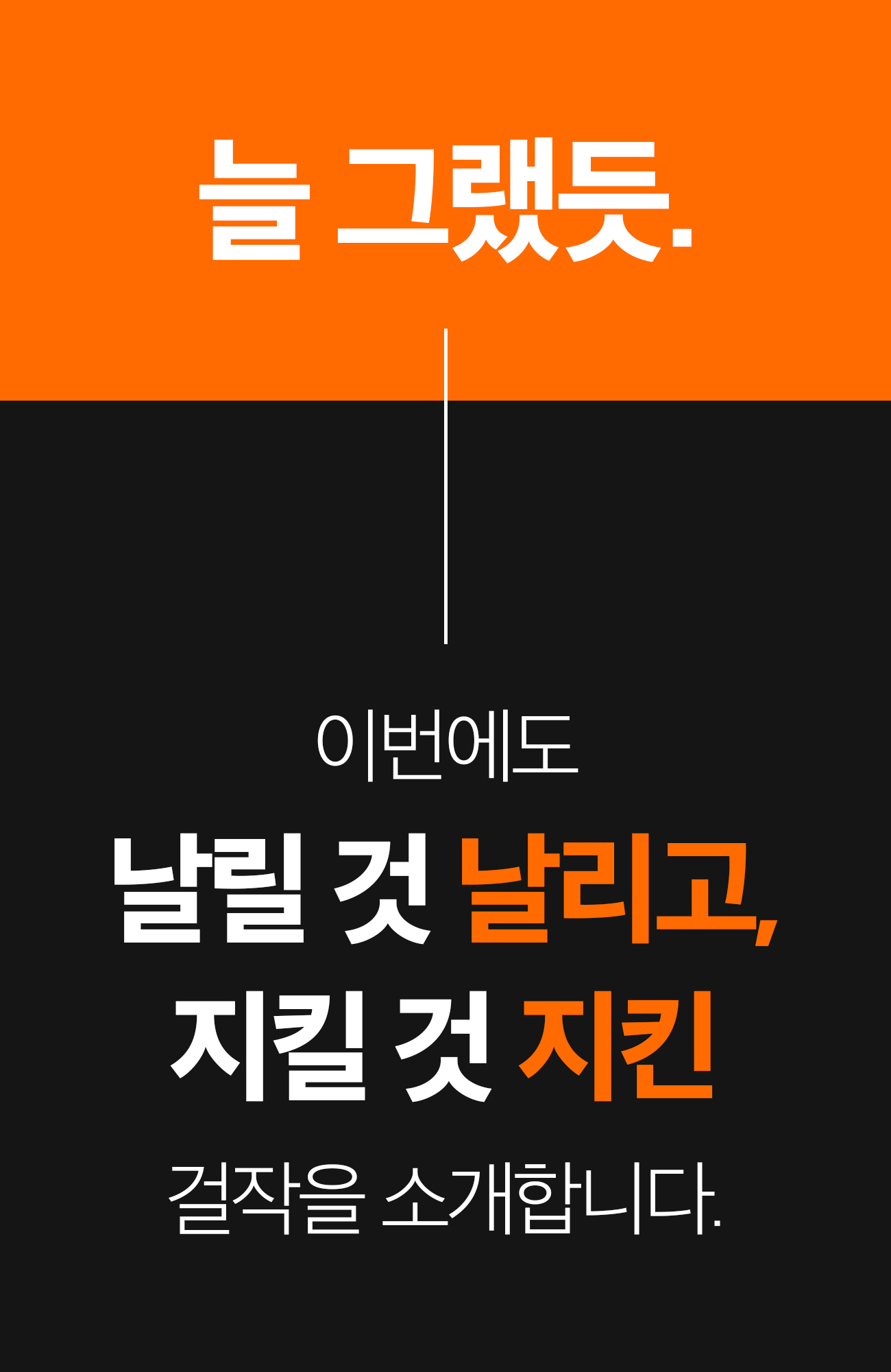 디케이스토어_몬도_10-1.jpg
