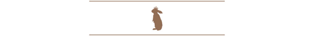 구분선(full).png