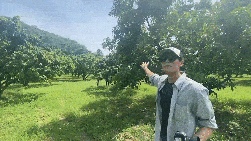 04_태국망고농장.gif