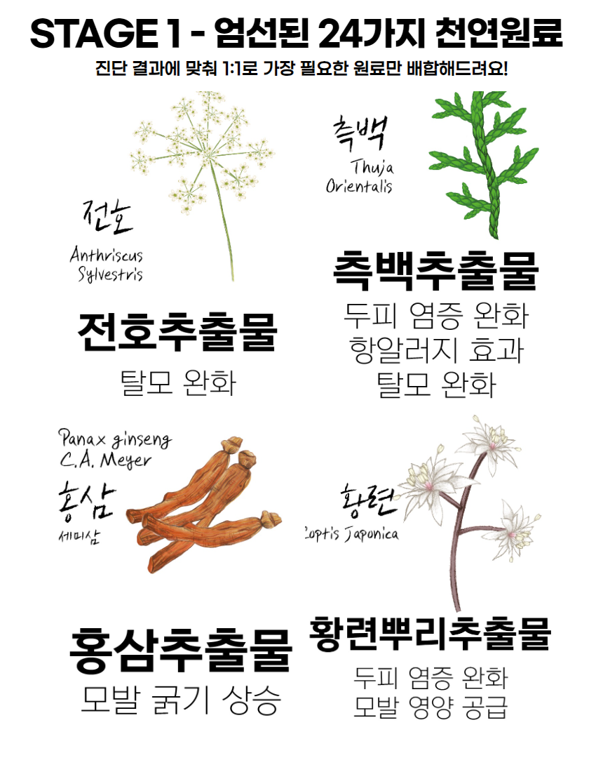 상세페이지 와디즈 20.png