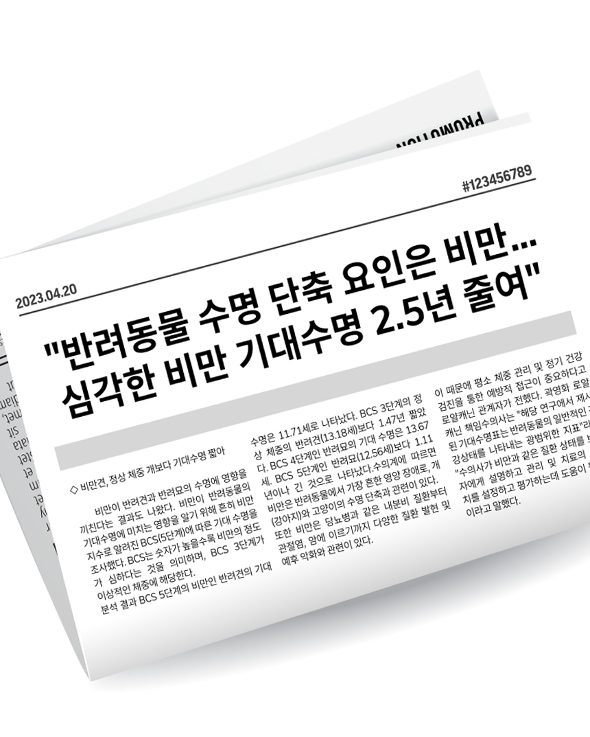 개튼튼 상세페이지_0.jpg