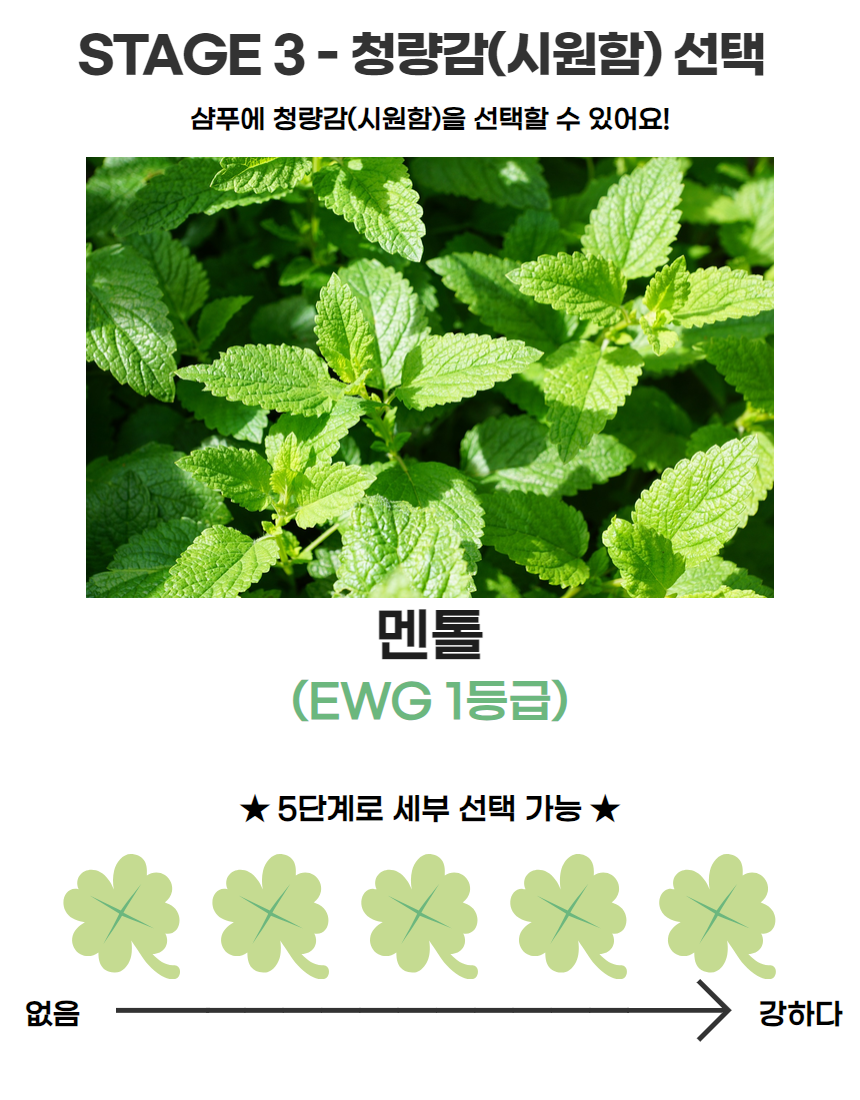 상세페이지 와디즈 26.png