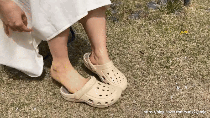 _GIF08.gif