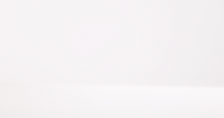 05.gif