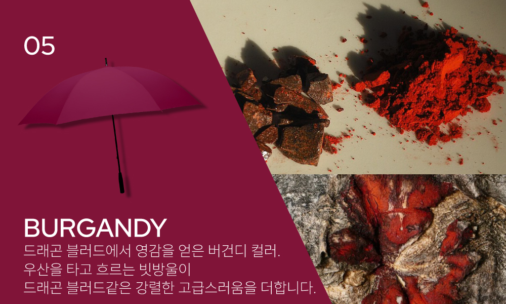 컬러스토리_버건디.jpg