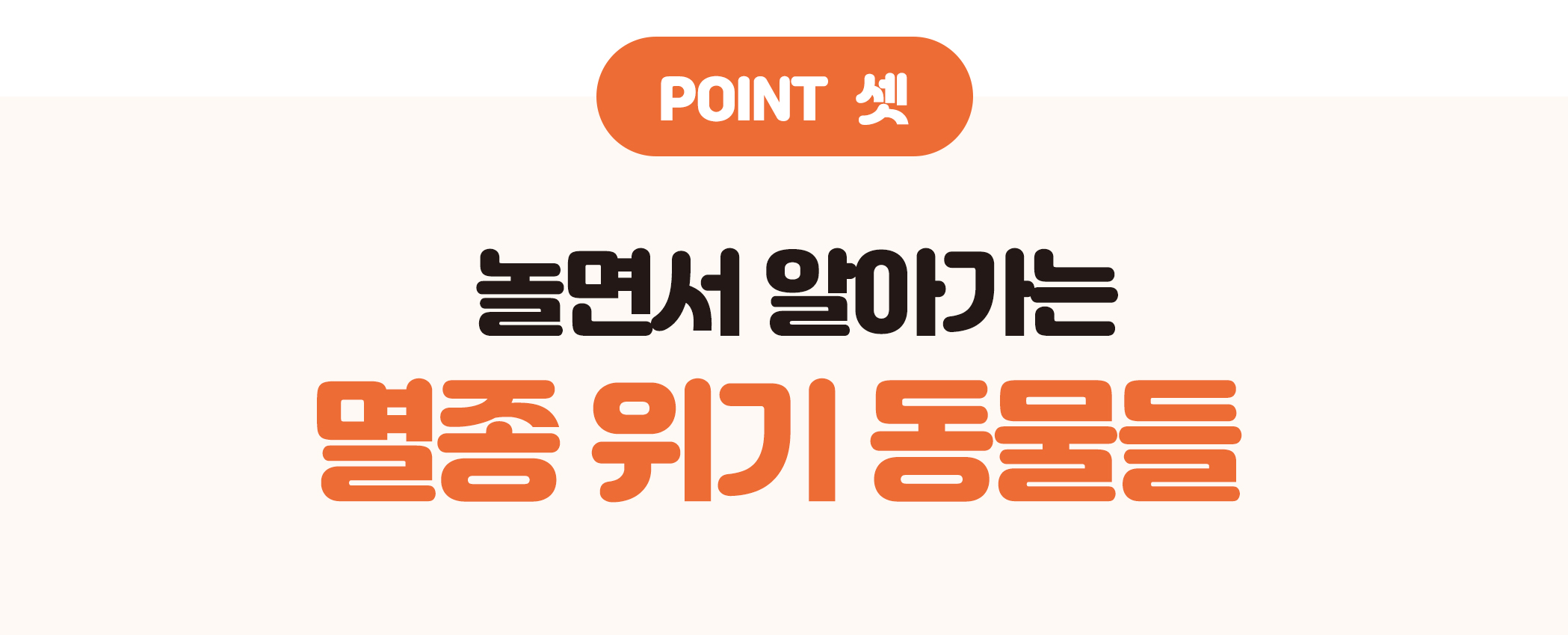 상세페이지_포인트 소개01.jpg