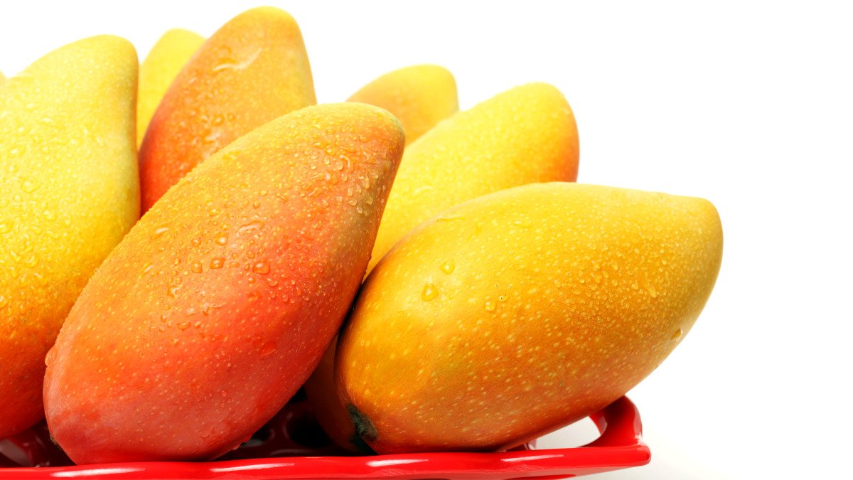 [Rainbow Mango] Sweet Mangoes Flying in from Thailand! Colorful Rainbow Mangoes