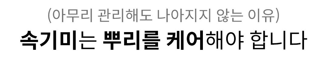666청자몽_기존펀딩-5.jpg