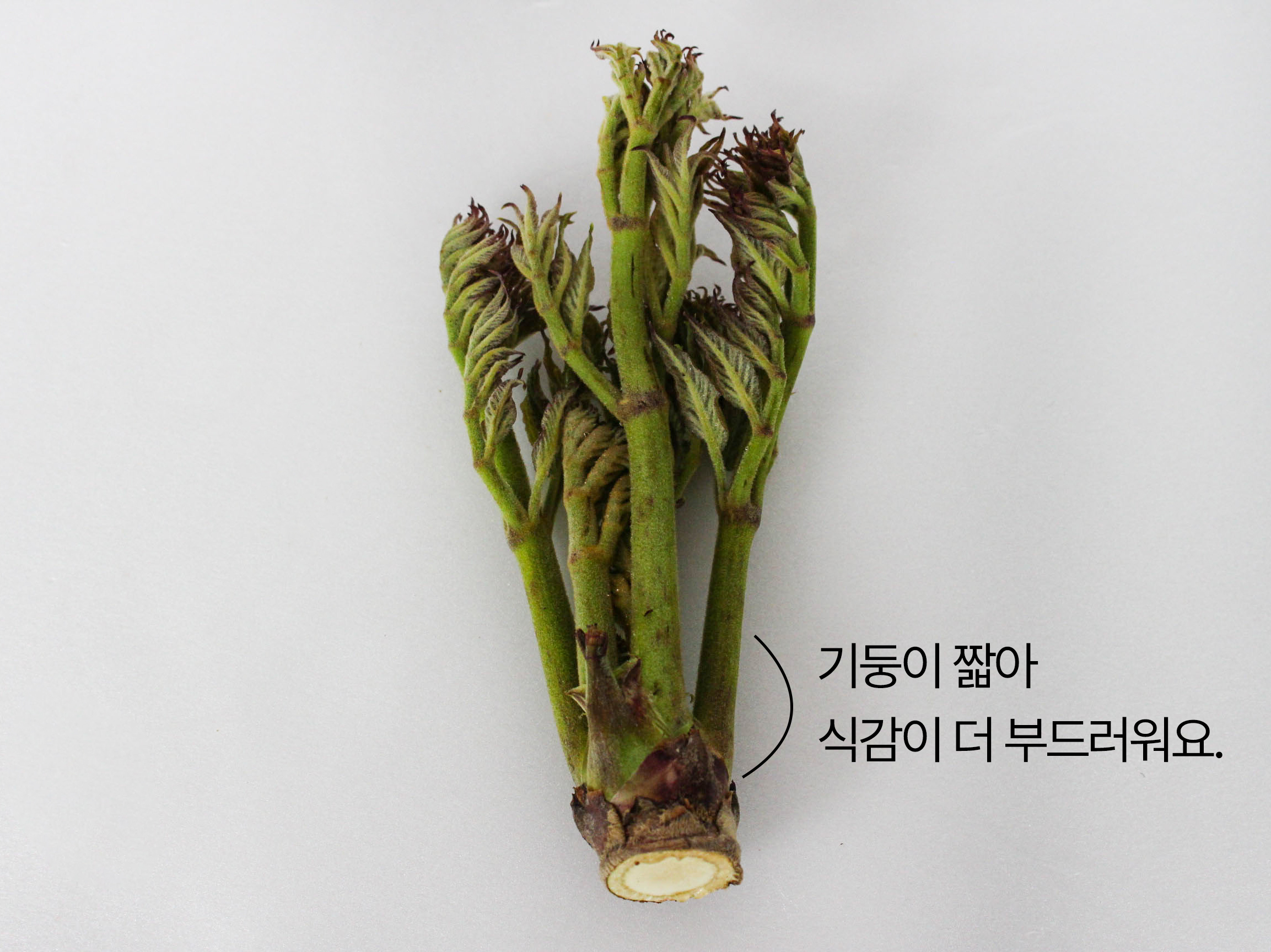 기둥.jpg