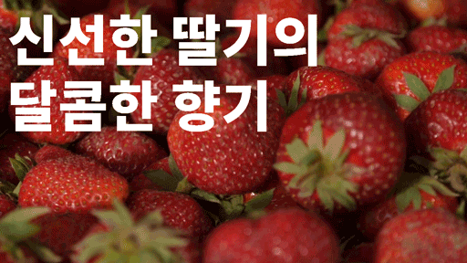 와디즈딸기-딸기.gif