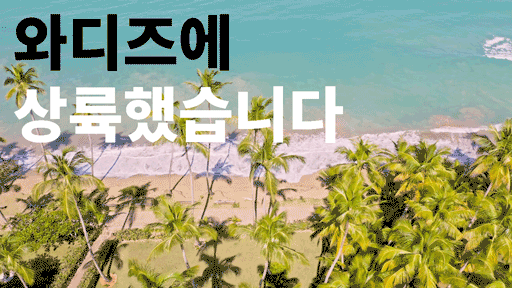 와디즈상륙.gif
