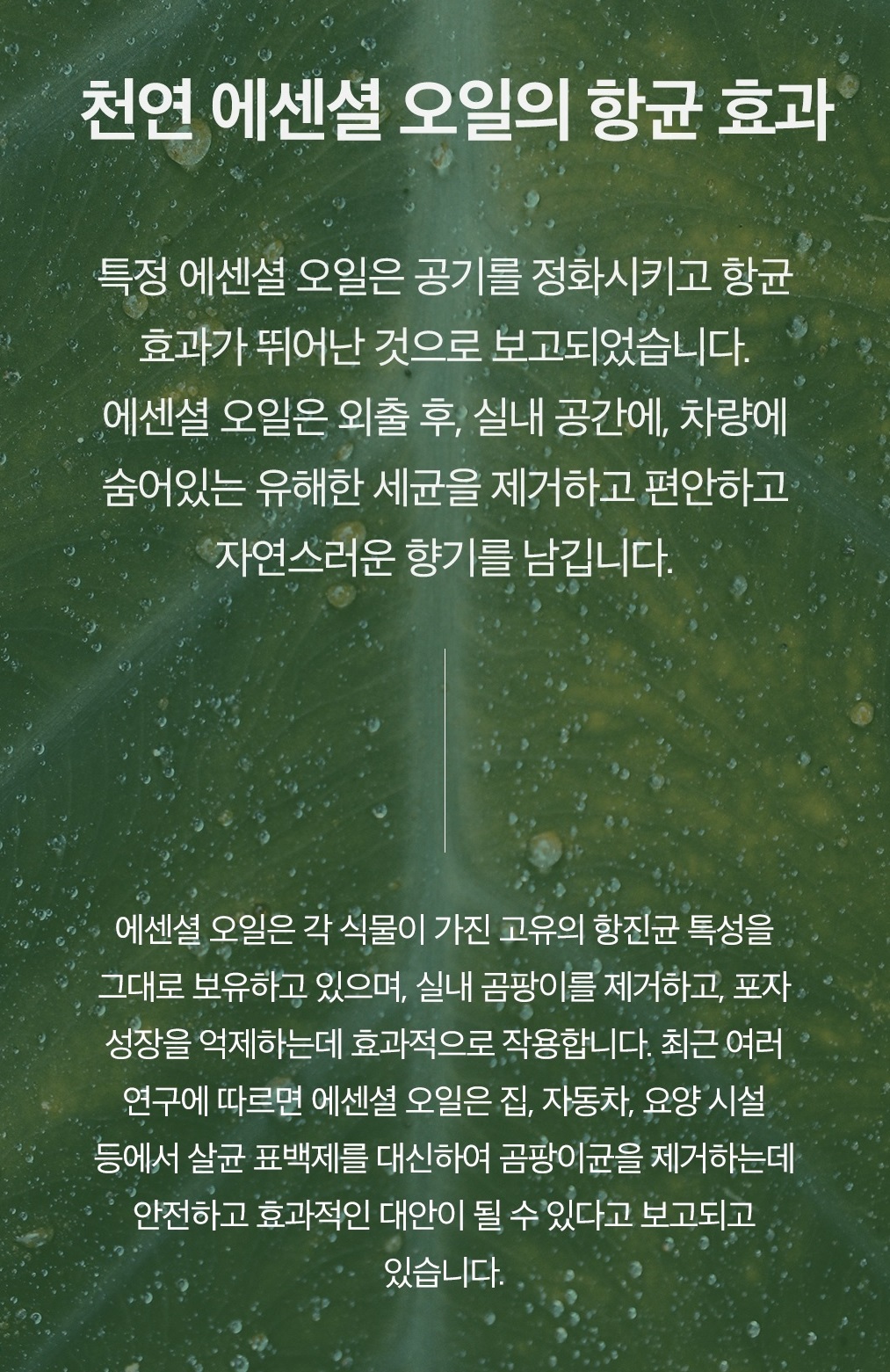 에센셜오일 안전.jpg