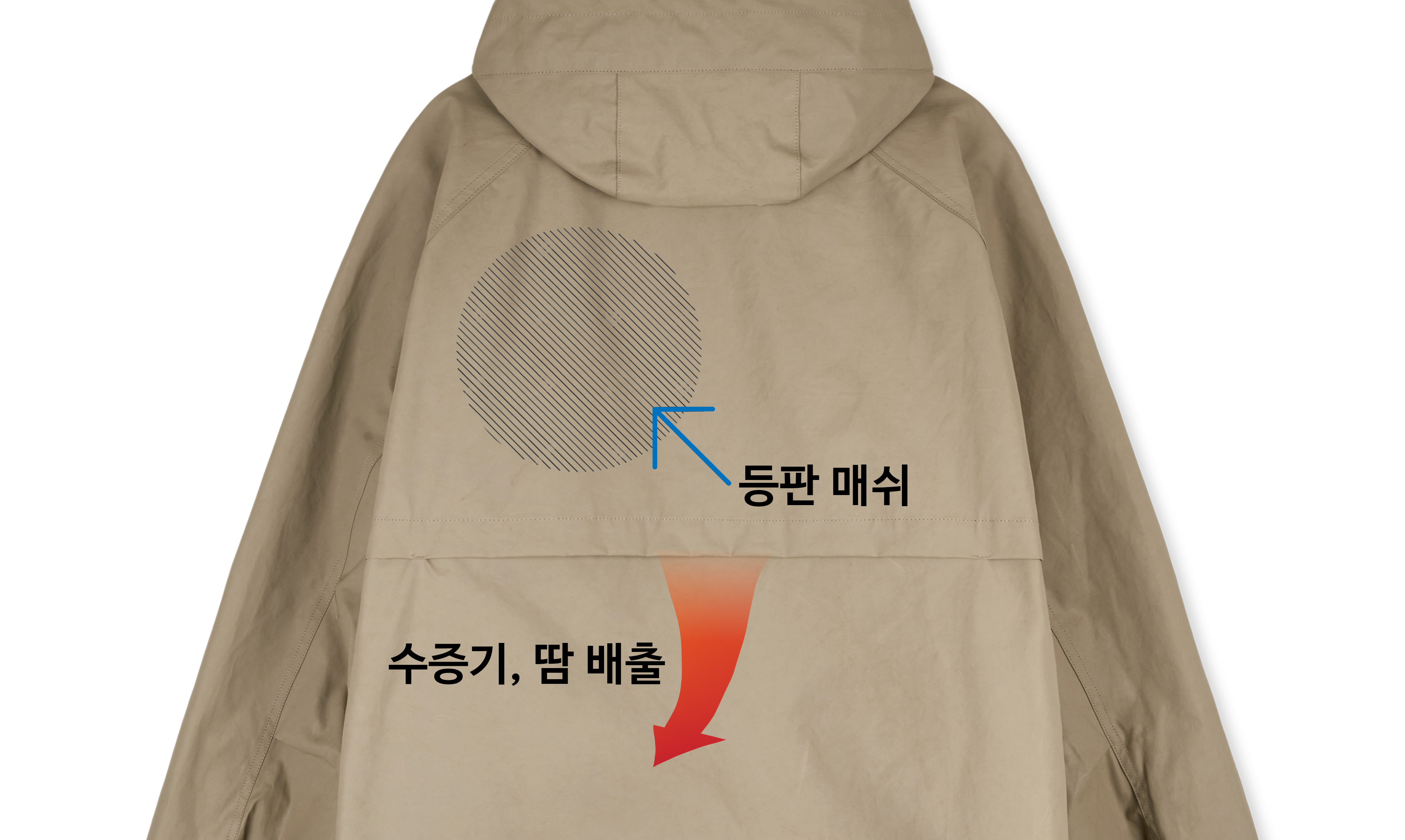 베이지02-- copy.jpg