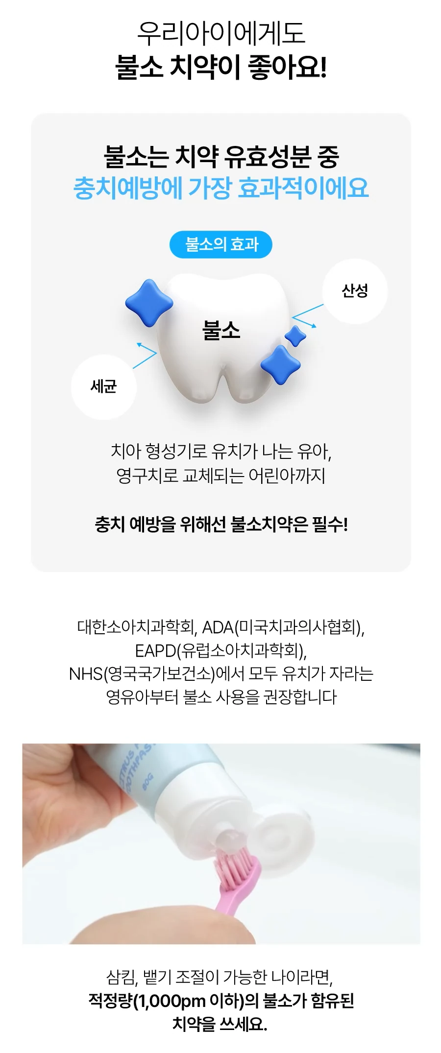 25.webp