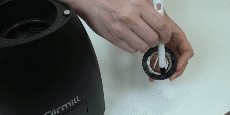 4.gif