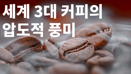 와디즈딸기원두.gif