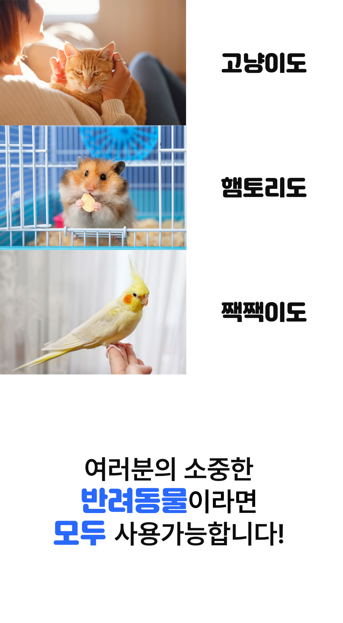모든동물사용가능.jpg
