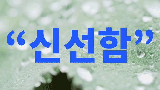 신선함.gif