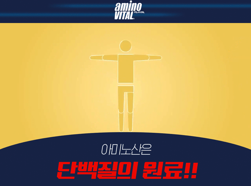 아미노산은-단백질의-원료.gif