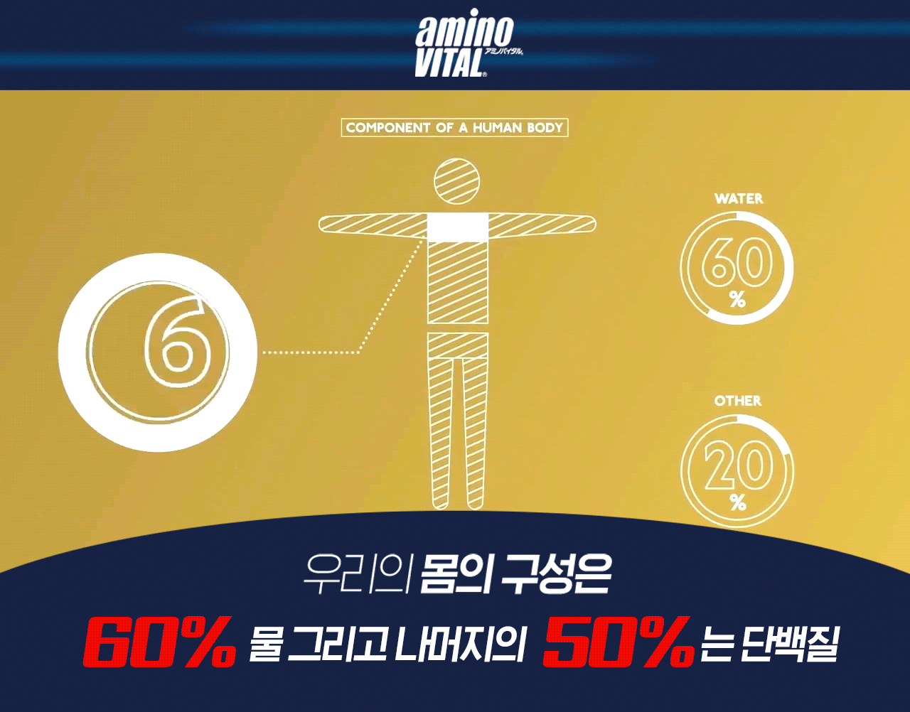 우리의-몸의-구성은.gif