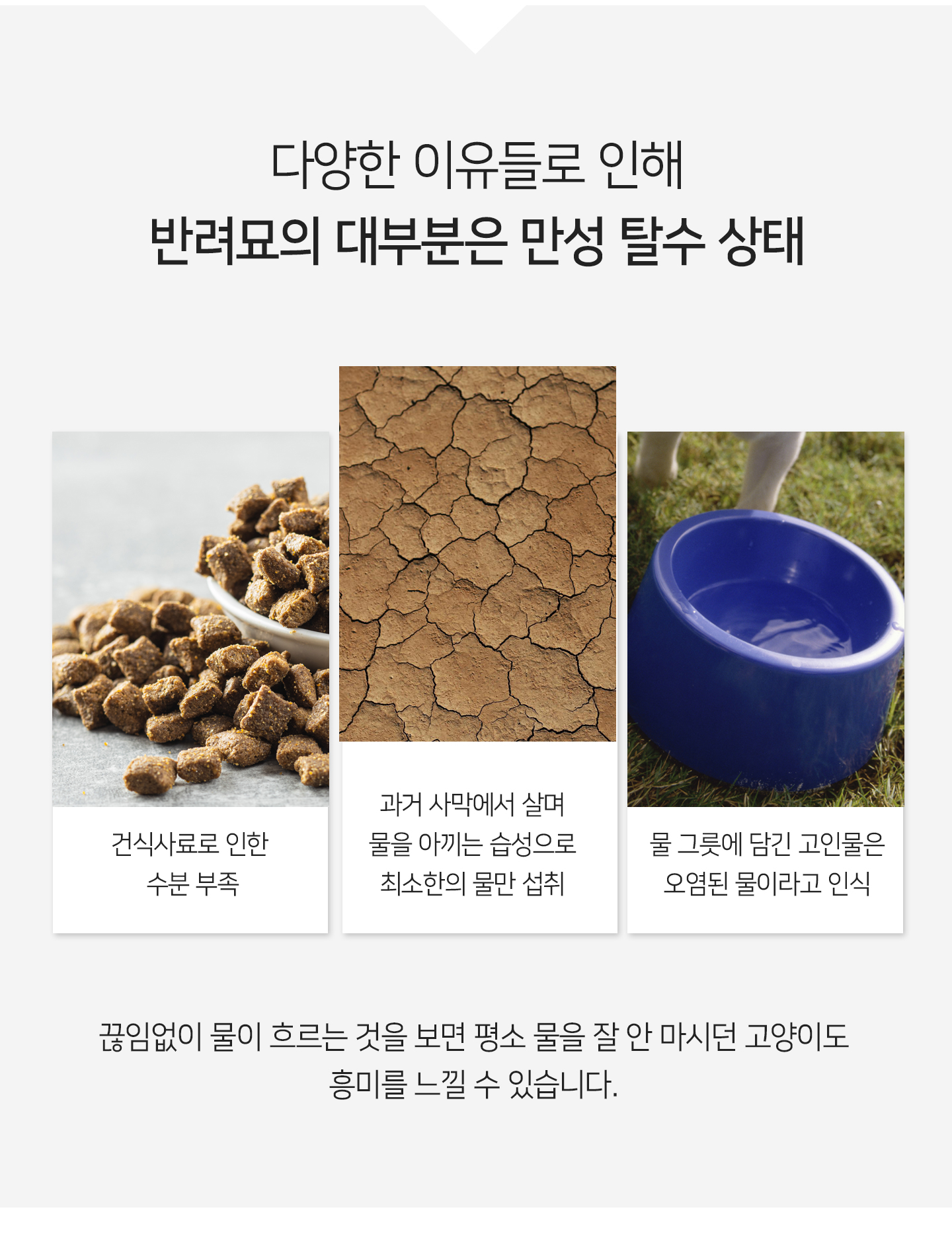 펫급수기_상세페이지_12.jpg
