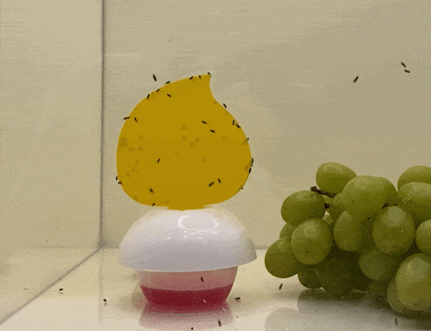 pesticides3_28.gif