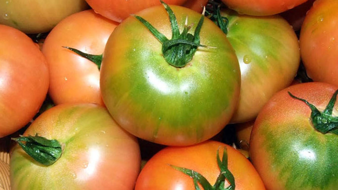 Tangy Sweet and Savory All at Once! Steamed “Daejeo Salty Tomato”