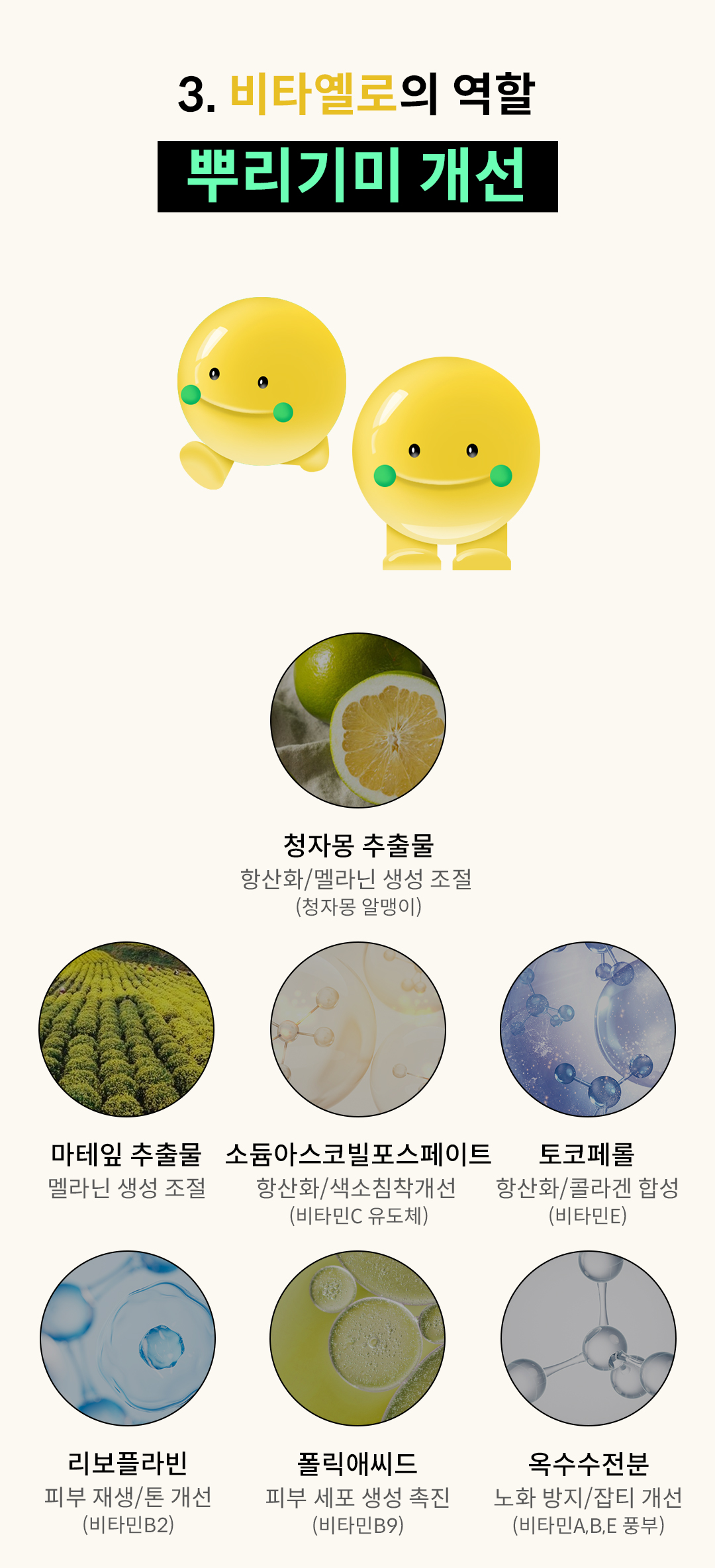 1000청자몽_비타옐로.jpg