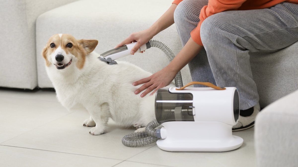 [宠物真空美容器]5合1 AeroBo宠物美容器 猫狗理发器+吸尘器