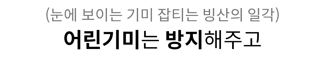 666청자몽_기존펀딩-1.jpg