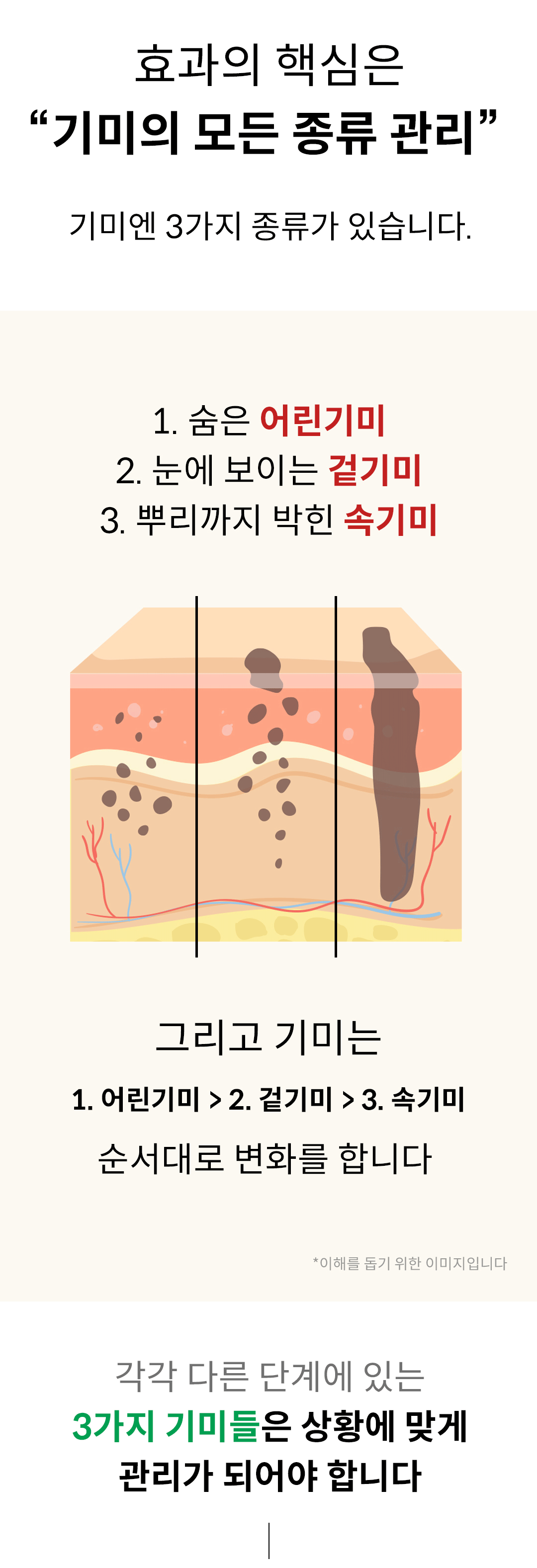 제목-없음-4.gif