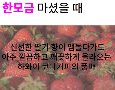 한입.gif