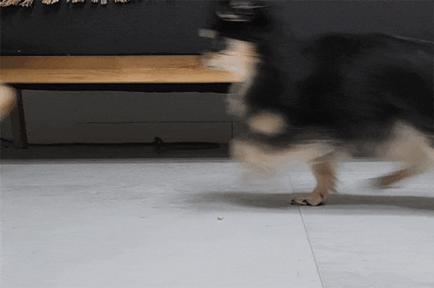 pesticides1_06-2.gif