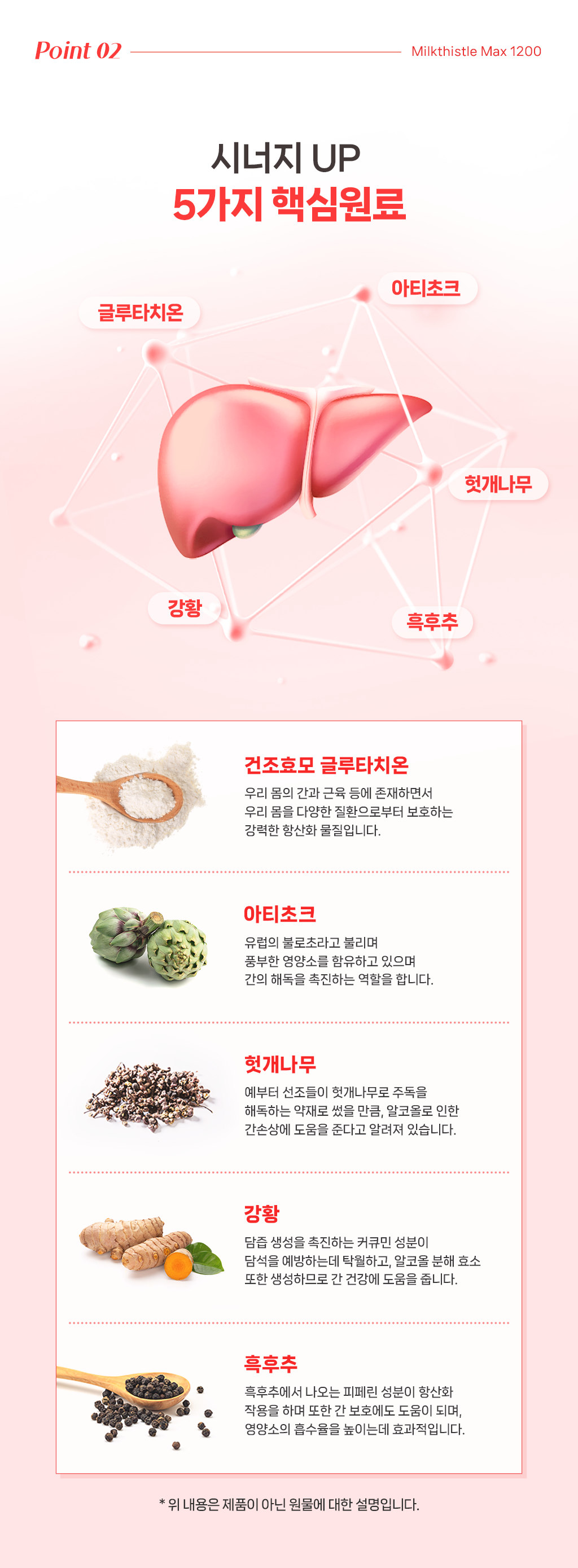 와디즈상세초안5.png