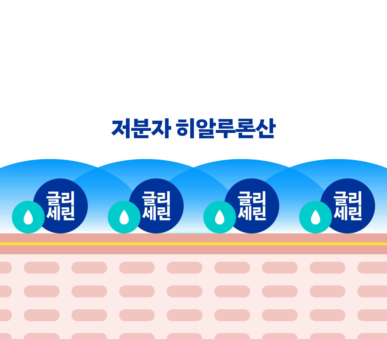 수런_피부생존수_34-2.gif