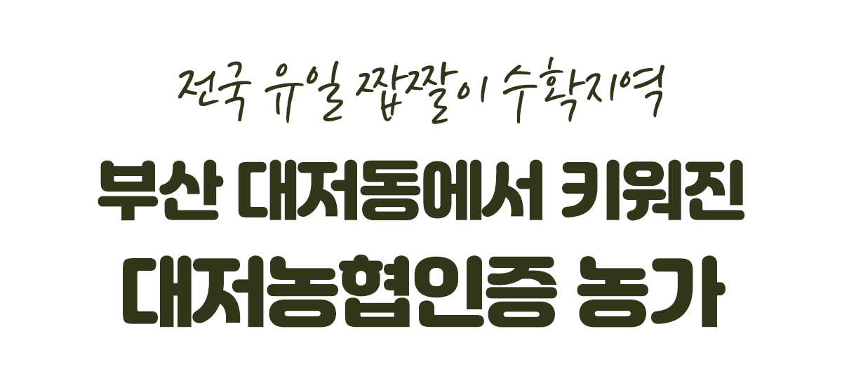 대제목3-1.jpg