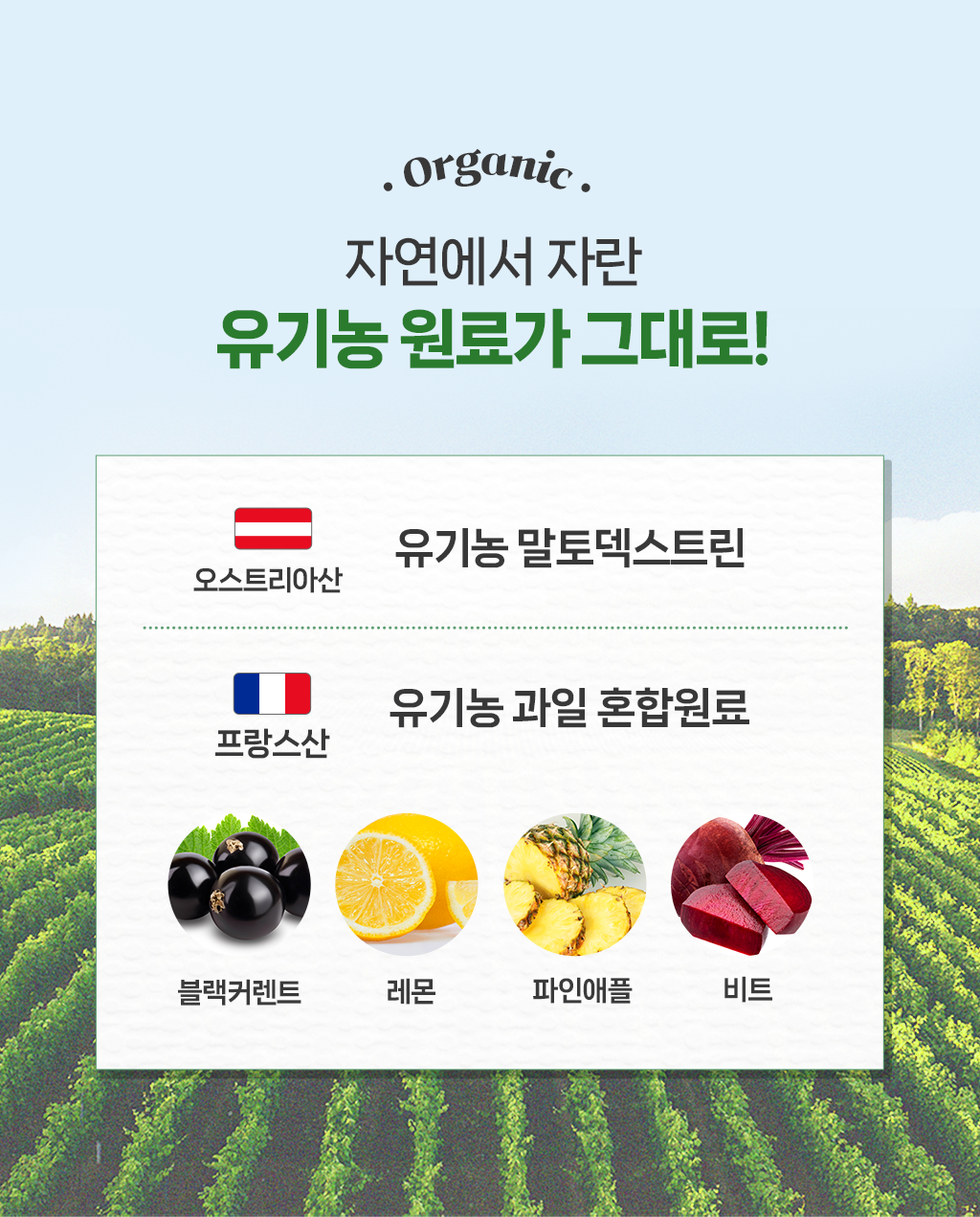 와디즈상세초안6_02.png