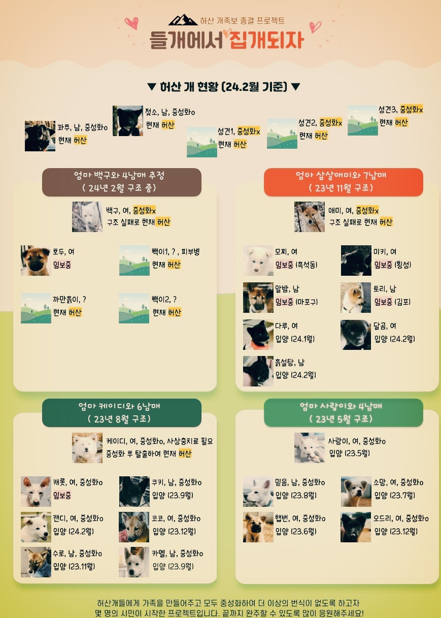 개족보.jpg