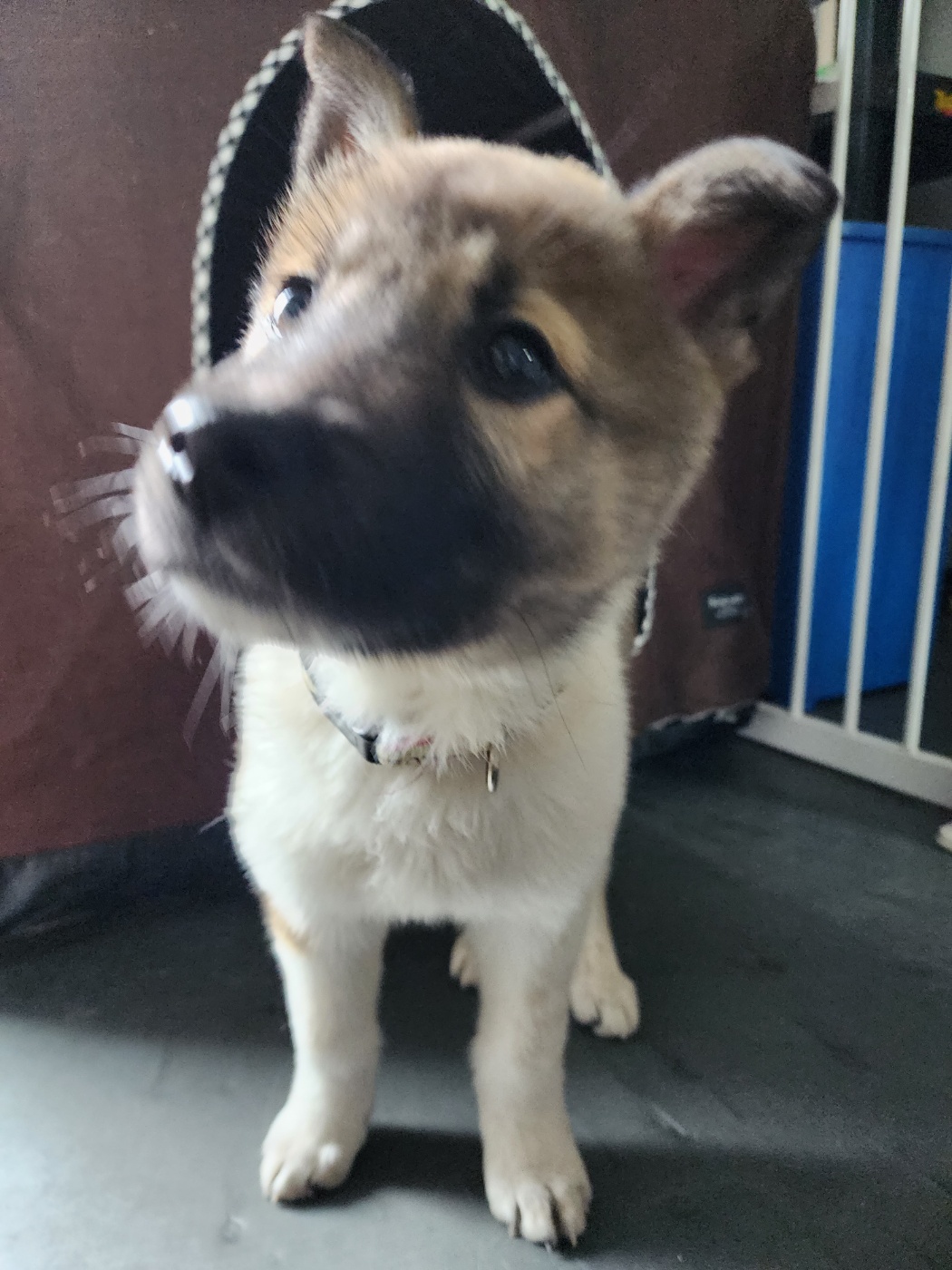 KakaoTalk_20240315_135920319_01 (1).jpg