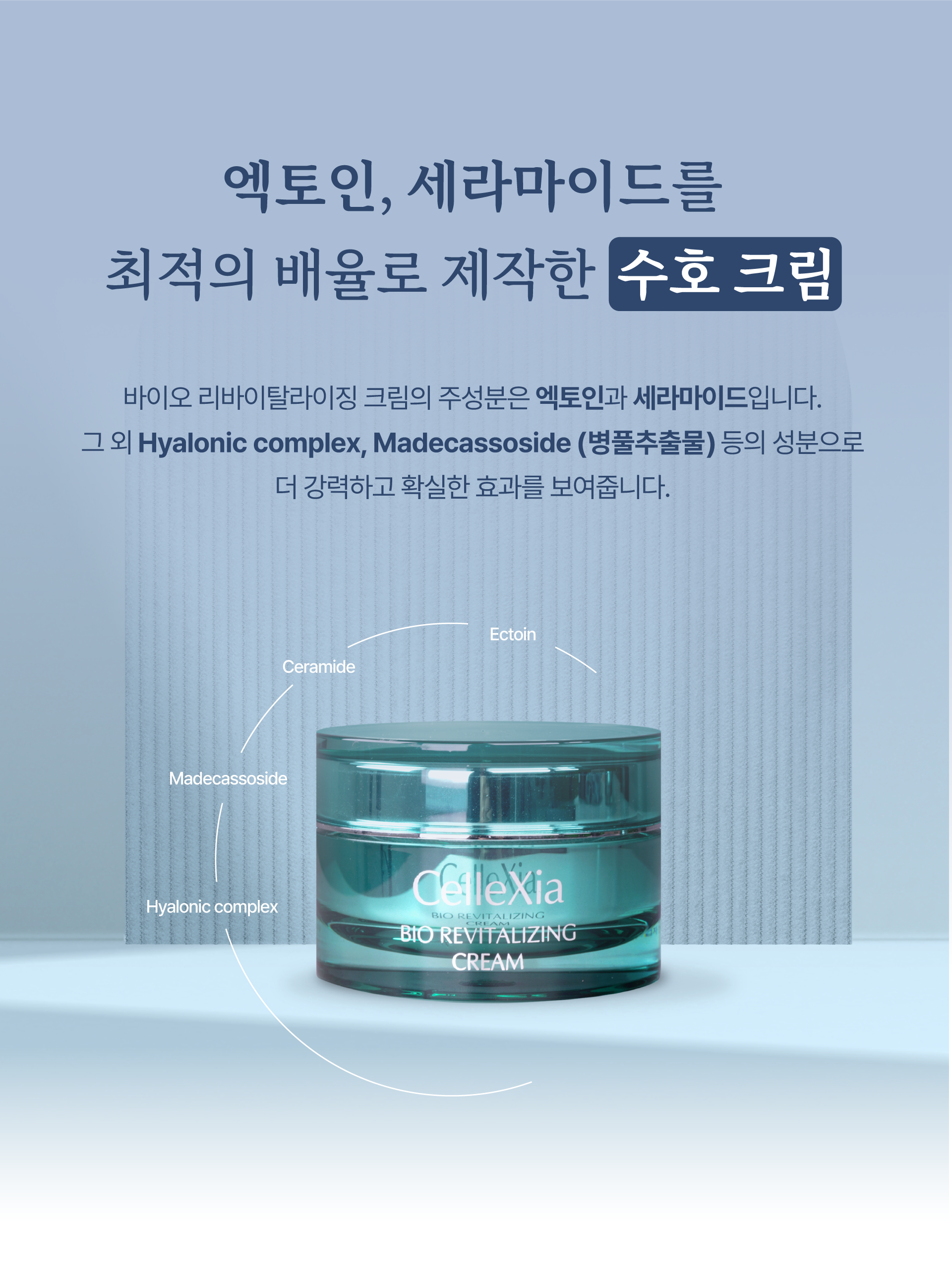 023 5분리.png